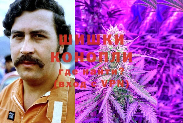гидра Володарск