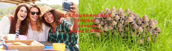 шишки Горно-Алтайск