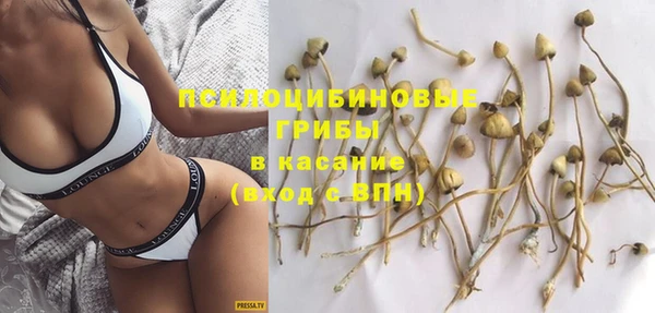 эйфоретик Вяземский