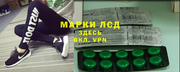 эйфоретик Вяземский