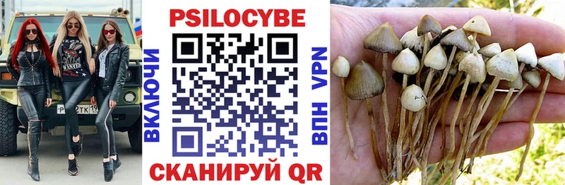 Псилоцибиновые грибы Magic Shrooms  гидра ТОР  Одинцово 